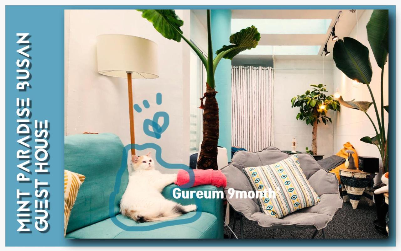Mint Paradise 釜山広域市 エクステリア 写真